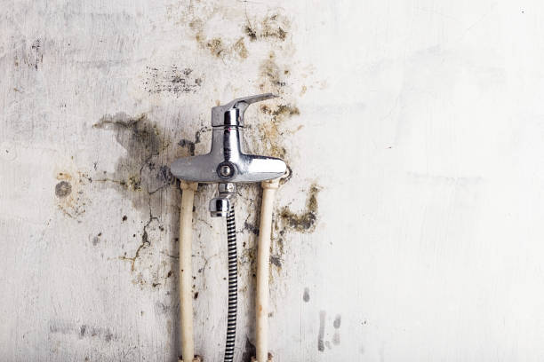 Best Water Damage Restoration  in Manche Village, CA