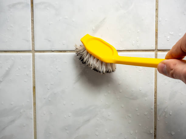 Best Home Mold Removal  in Manche Village, CA
