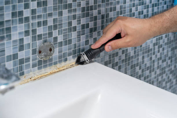 Best Mold Damage Repair  in Manche Village, CA