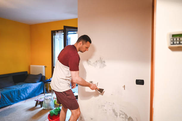 Best Toxic Mold Removal  in Manche Village, CA